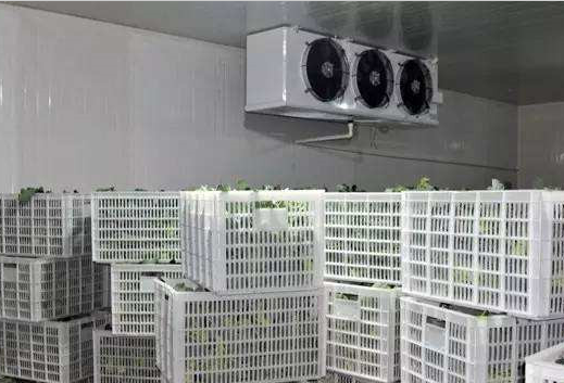 阆中20平米保鲜库